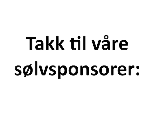 Sponsor logo #3